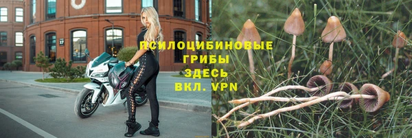 мескалин Аша