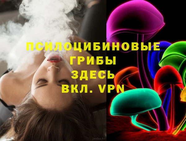 PSILOCYBIN Бабаево
